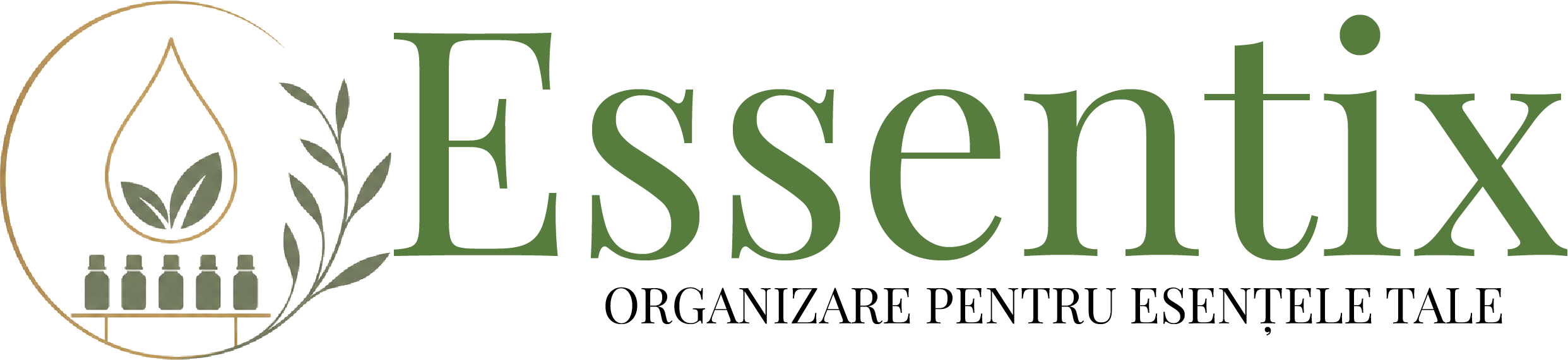 EssentiX - Esența organizării
